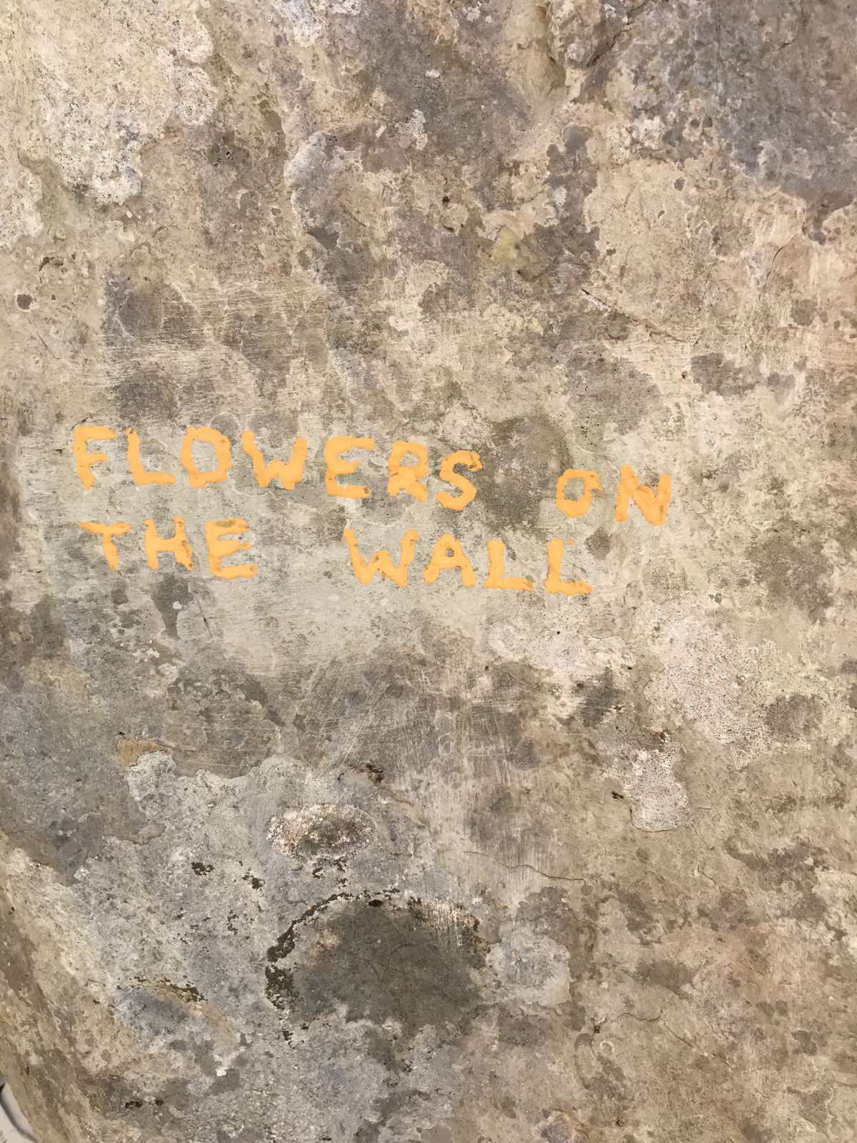 Flowers On The Wall
