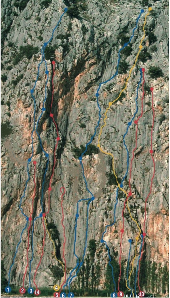 ΚΩΛΟΦΩΤΙΑΣ