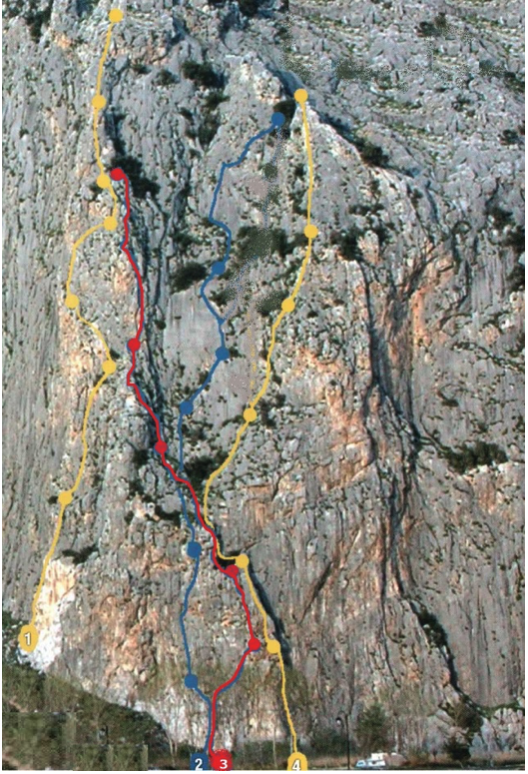 ΒΑΣΙΛΟΠΟΥΛΟΥ