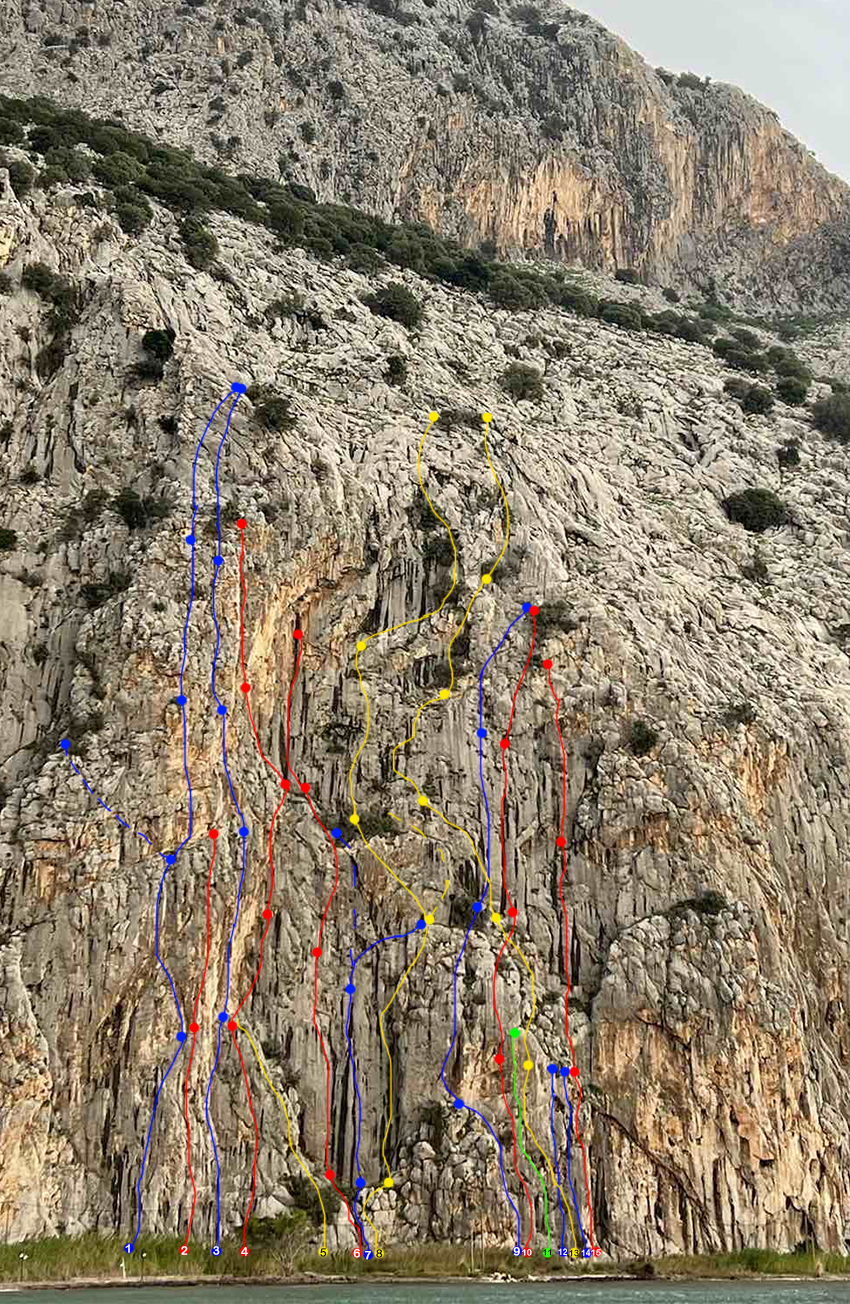 ΚΩΛΟΦΩΤΙΑΣ