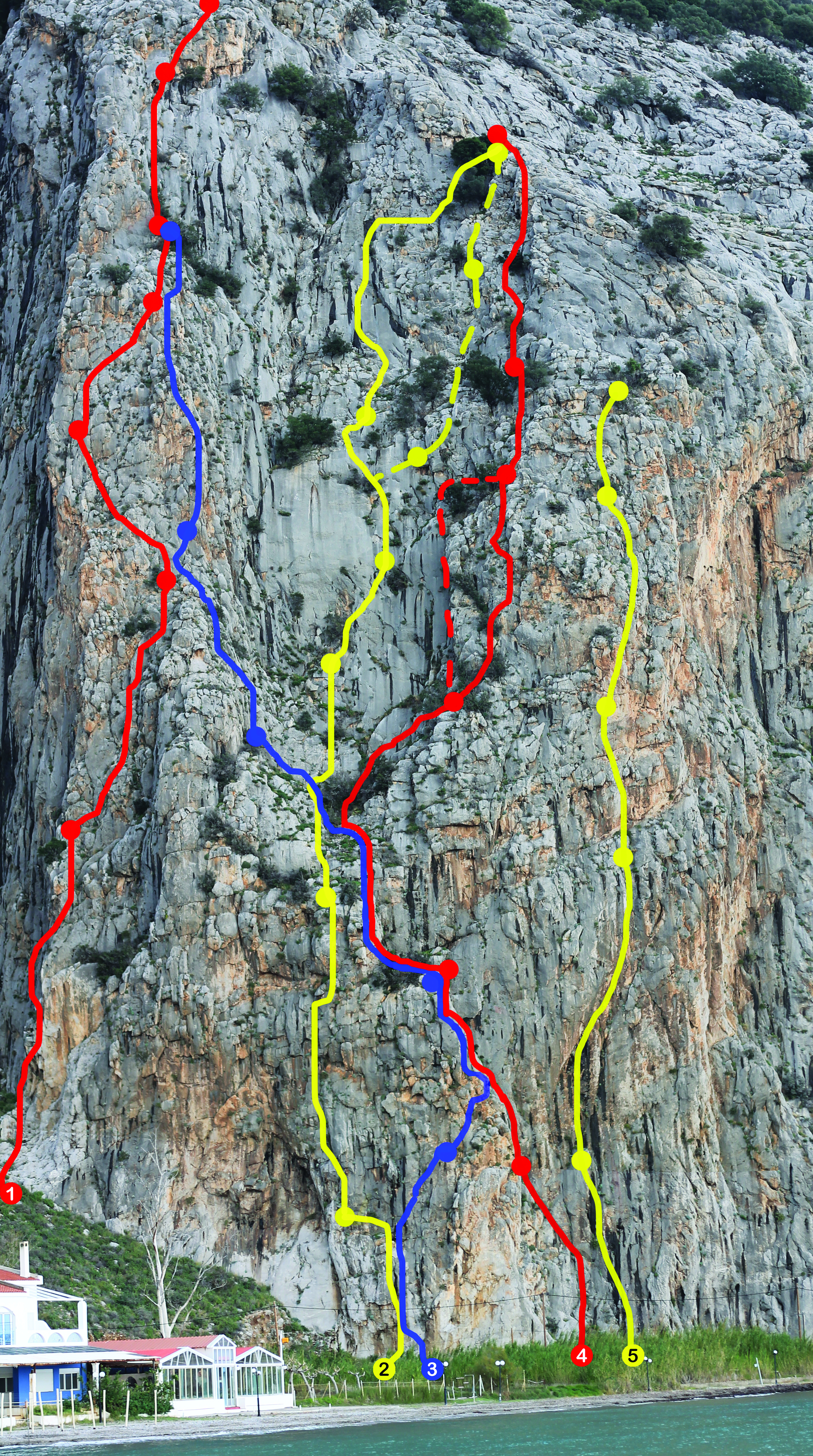 ΒΑΣΙΛΟΠΟΥΛΟΥ